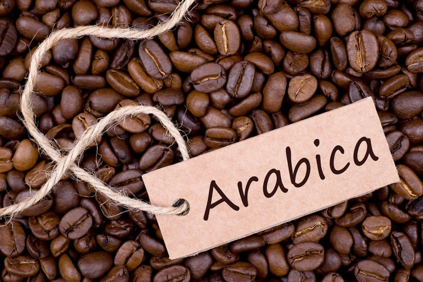 Arabica coffee beans