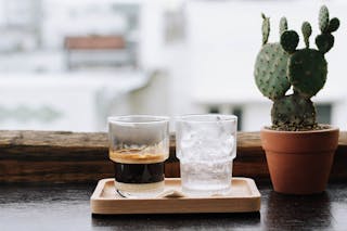 a typical cup of iced-milked coffee placing next to a cactus