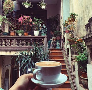 Tách cà phê - Cafe Phố cổ