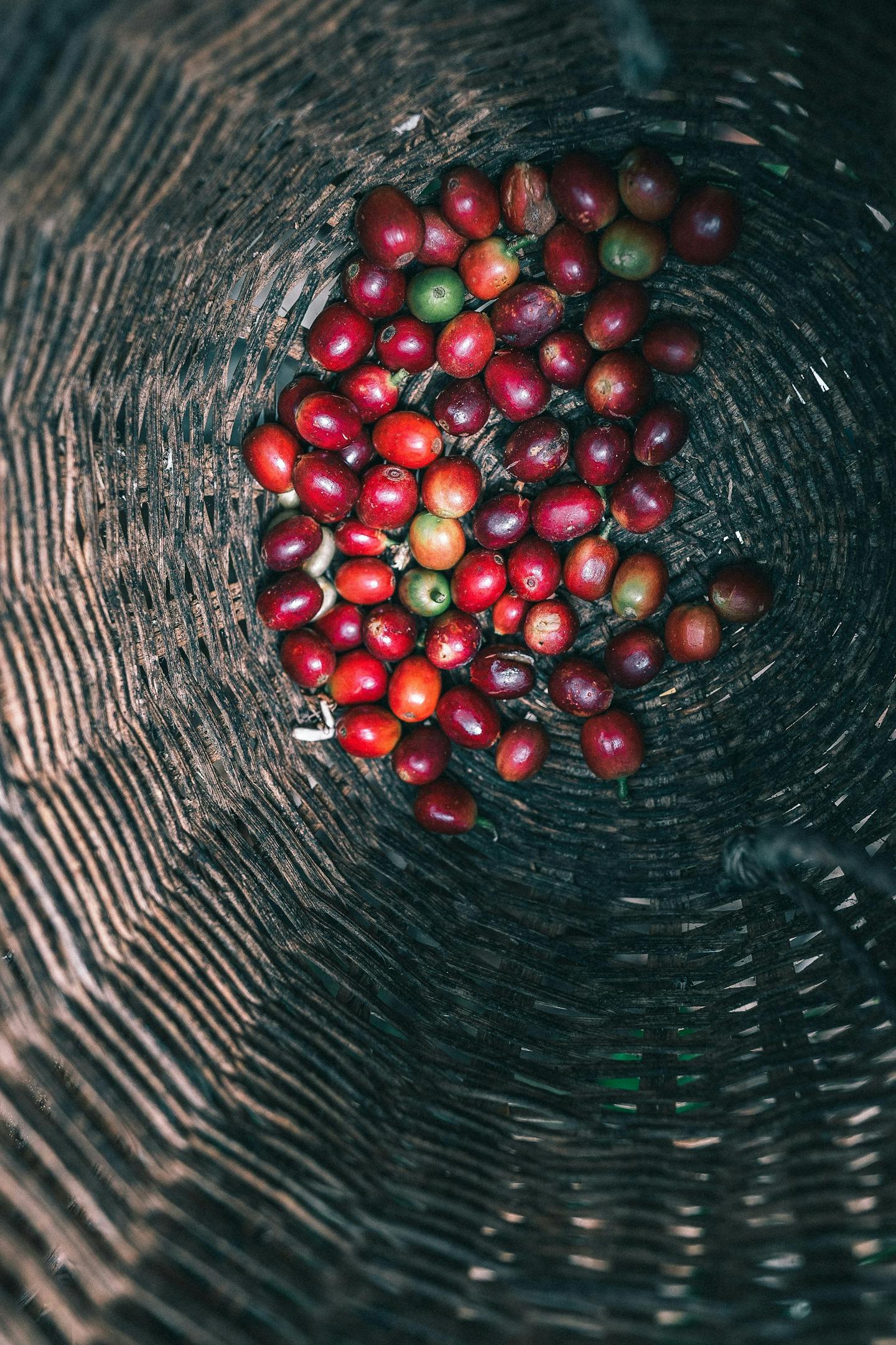 Cherry coffee