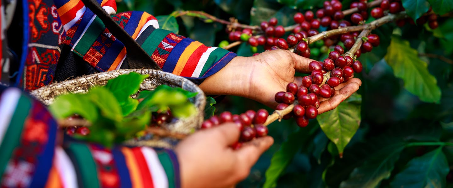 Vietnamese Specialty Coffee Explore Its Rich World vietnamese-specialty-coffee-explore-its-rich-world