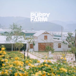 Nông Trại Cún - Puppy Farm 4