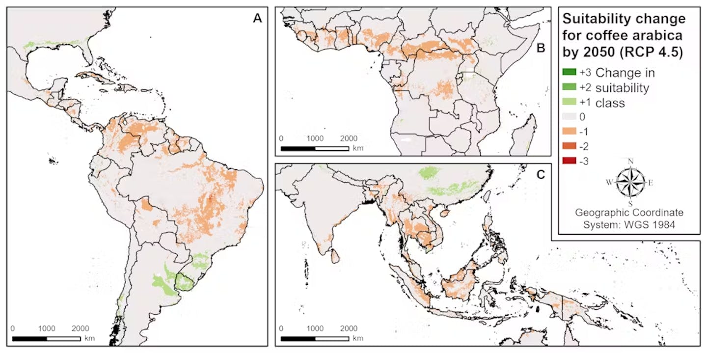 the map of suitability change for coffee by 2050